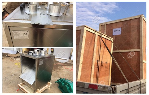 plantain chips making machine to Dominican Republic